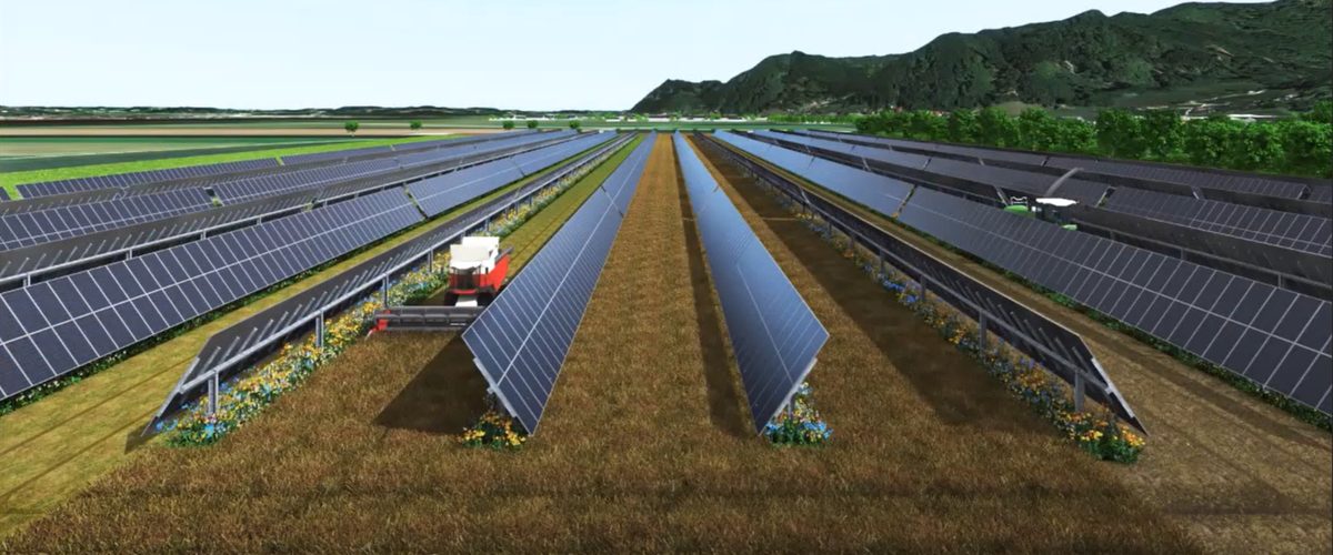 Agri-PV Pasewalk